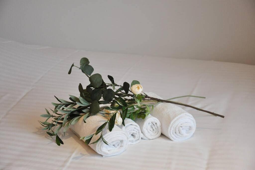 Freskenn 1, Studio 23M² Cosy & Chaleureux Daire Brest Dış mekan fotoğraf